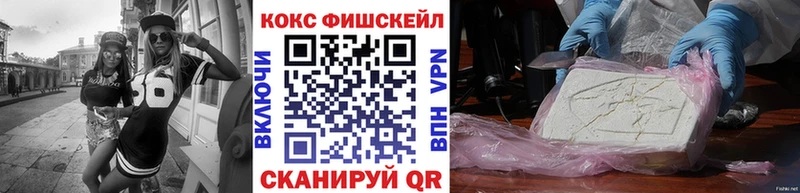 COCAIN Fish Scale  Старица 