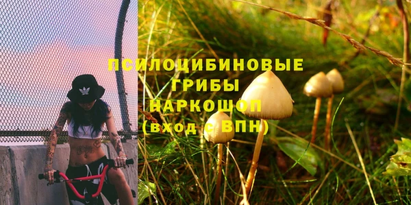 COCAINE Заводоуковск