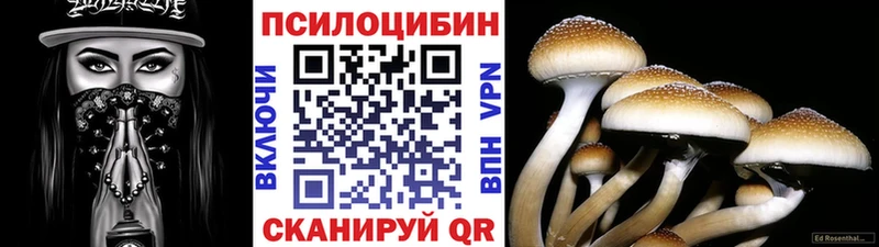 Псилоцибиновые грибы прущие грибы  где найти   Старица 